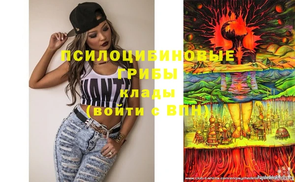 дмт Белоозёрский