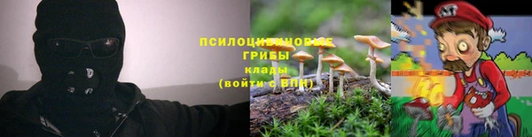 дмт Белоозёрский