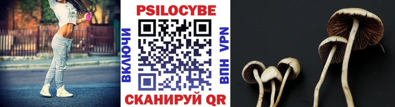 Галлюциногенные грибы мицелий  купить наркоту  Вельск 